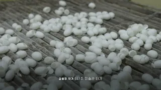 강희주 ㅣ송림아트센터