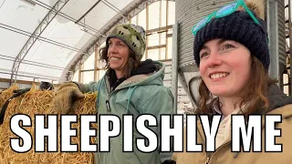 Sheepishly Me - Tara’s Version! Sheep Farm Vlog