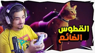 مغامرات القط الضائع! 🐱 - Stray #1
