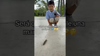 SERÁ que sale una ORUGA aquí? #diversão #humor #parque #shorts