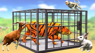 मूर्ख बाघ और चतुर खरगोश Foolish Tiger and Clever Rabbit Hindi Kahaniya हिंदी कहनिया Stories in Hindi