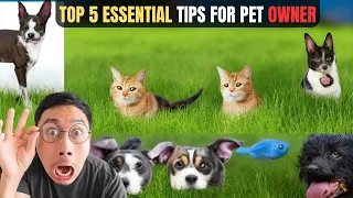 5 Essential Pet Care Tips Every Owner Needs to Know! Must-Watch Guide