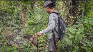 5 Hari berburu dihutan rawa gunung dan sungai!!!!! #KOOKIKO