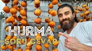 TRABZON HURMA NASIL KURUTULUR? | ⚠️HURMA NEDEN BAĞIRSAK TIKAR?⚠️ | HURMA PUDİNGİ TARİFİ