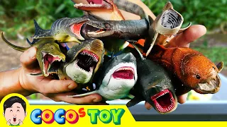 Toy wild fish live in my front yard!｜Ichthyosaurus, dinosaurs cartoon｜CoCosToy