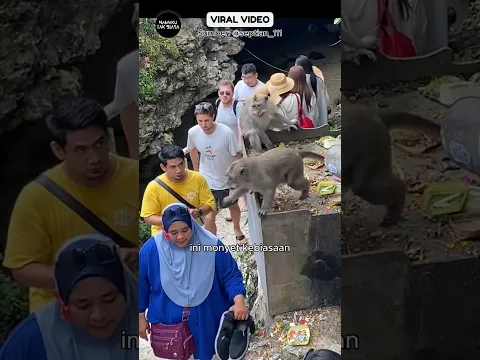Turis Asing Gak Mau Kalah Dari Monyet Bali‼️ #reaksibule #shorts #viralvideo