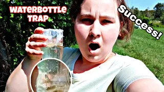Waterbottle Trap Catches Cute Tiny Fish!