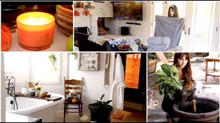 Seasonal Home Maintenance (Indoor Plants, Laundry, Medicine Cabinet)