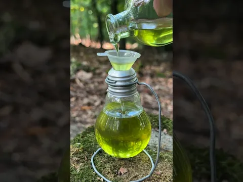 Survival Skills Make an oil lamp with your own hands. #survival #outdoors #camping #lifehacks