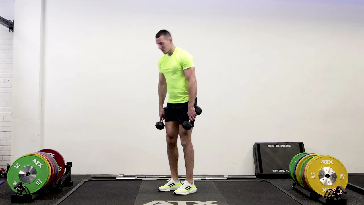 Image Dumbbell Deadlift