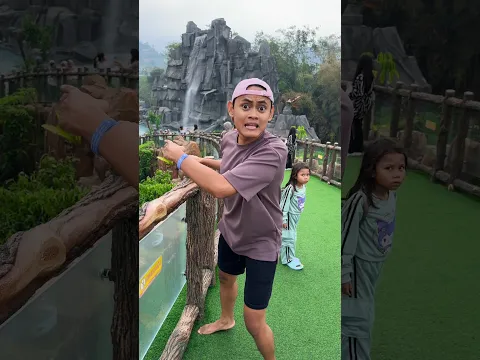 Liat Jerapah Purba 🦒