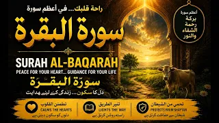 سورة البقرة كاملة | السر العظيم للبركة والحفظ والطمأنينة في حياتك