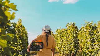 Bleona Mata kthehet nga Greqia