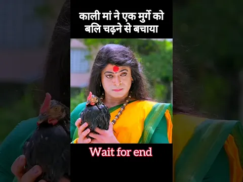 काली मां ने मुर्गे को बलि चढ़ने से बचाया! #shorts