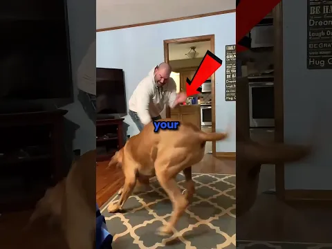 Don't leave your dog alone with Dad 😂😲 #shorts #dog