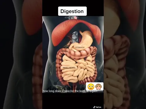 Digestión ❤️ #shorts #medicina