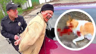 ЖИВОДЁР ПСИХ сделал это с СОБАКОЙ. Полиция Задержала МАНЬЯКА которы ловил животных. Зачем это делал?