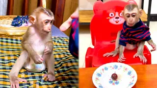 Bryyan is so smart and obedient baby monkey!