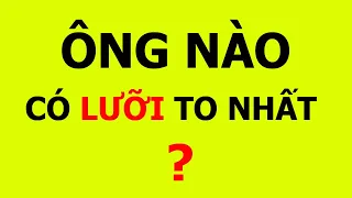 Những câu đố mẹo ngắn, hay, khó khiến bạn nhức não