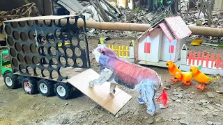 Truk Gajah Angkut Sapi Burung Dan Ayam Warna Warni