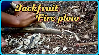 Jackfruit wood Fire plow