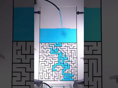Can water solve a maze #shorts