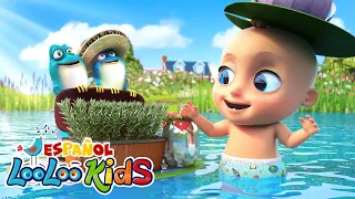 Cu cú Cantaba La Rana + Camino por la selva y Más canciones infantiles para niños en español