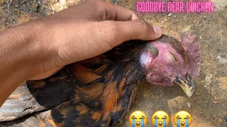 Sad moments when I bury my beloved chicken || I Cry while burying it😭
