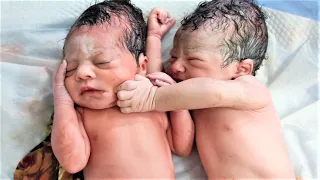 Two Hearts, One First Moment | Twin Newborns Enter the World