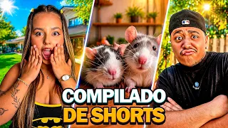 OS MELHORES VÍDEOS DA ANA ADATI!