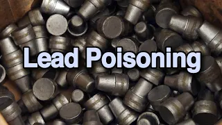 Lead Poisoning and Firearms: Prevention & Limiting Exposure