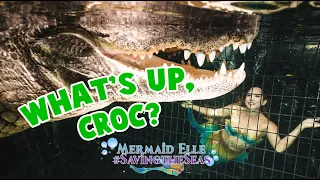 Ep 6: What's Up, Croc? | Mermaid Elle - Saving the Seas