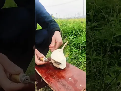 SMOOTH root CUT is so CLEAN 😮🥔 #shorts #gardening #farming #plants #garden