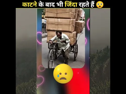 4 ऐसे जानवर जिन्हें काटने के बाद भी जिंदा रहते हैं |😲😲| #shorts #short