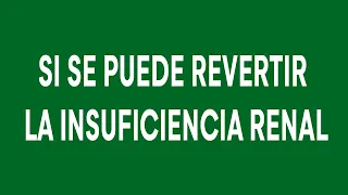 Si se puede revertir la insuficiencia Renal