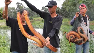 REKOR DOUBLE STRIKE BELUT MONSTER DENGAN HASIL YANG FANTASTIS