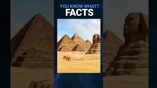 Pretty Cool Facts You Should Know