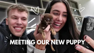 MEETING OUR NEW PUPPY