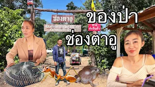 อีสานออนทัวร์Ep#11 ตลาดชายแดน”ช่องตาอู” ชายแดนไทย-ลาว ขามแดนไม่ต้องใช้เอกสาร