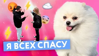МАША И НИКИТА ПОРУГАЛИСЬ! 😮‍💨😱