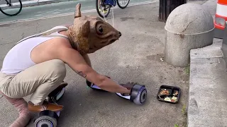 Four Legged Hoverboarding with Buddy the Rat