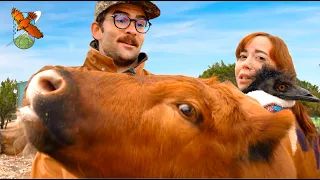 I AM ADOPTING THIS COW
