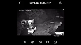 They tried to steal puppies from THE HULK  (cctv footage)