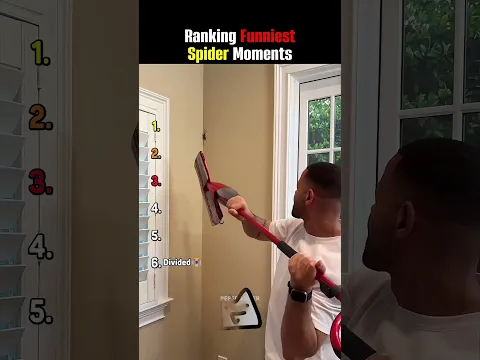RANKING THE FUNNIEST SPIDER MOMENTS