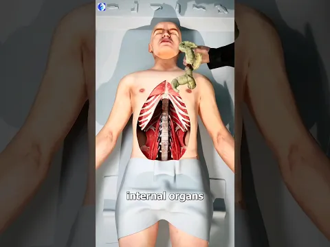 The Mummification Process #shorts
