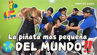 La piñata más pequeña del mundo 🌍‼️ | Reto con Piñatas Gama