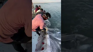 Amazing Fishing with Hadhra full video