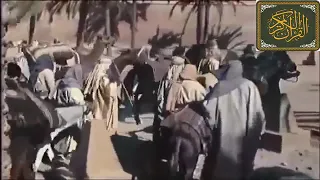 كأنك تعيش قصة يوسف عليه السلام || تلاوة مؤثرة  للشيخ الزين محمد أحمد
