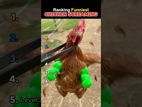 Ranking Chicken Screaming 😭