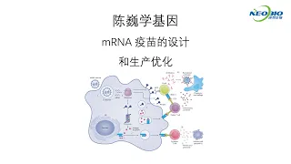 【陈巍学基因】第96期：mRNA 疫苗的设计和生产优化